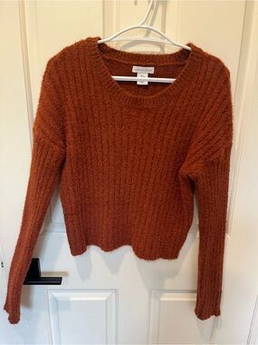 Shrinking Violet Rust Orange Crewneck Sweater